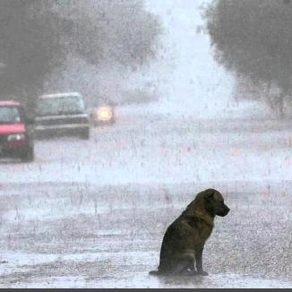 扎西在的话顿珠没问题