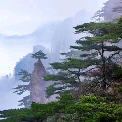 用户雨后的彩虹