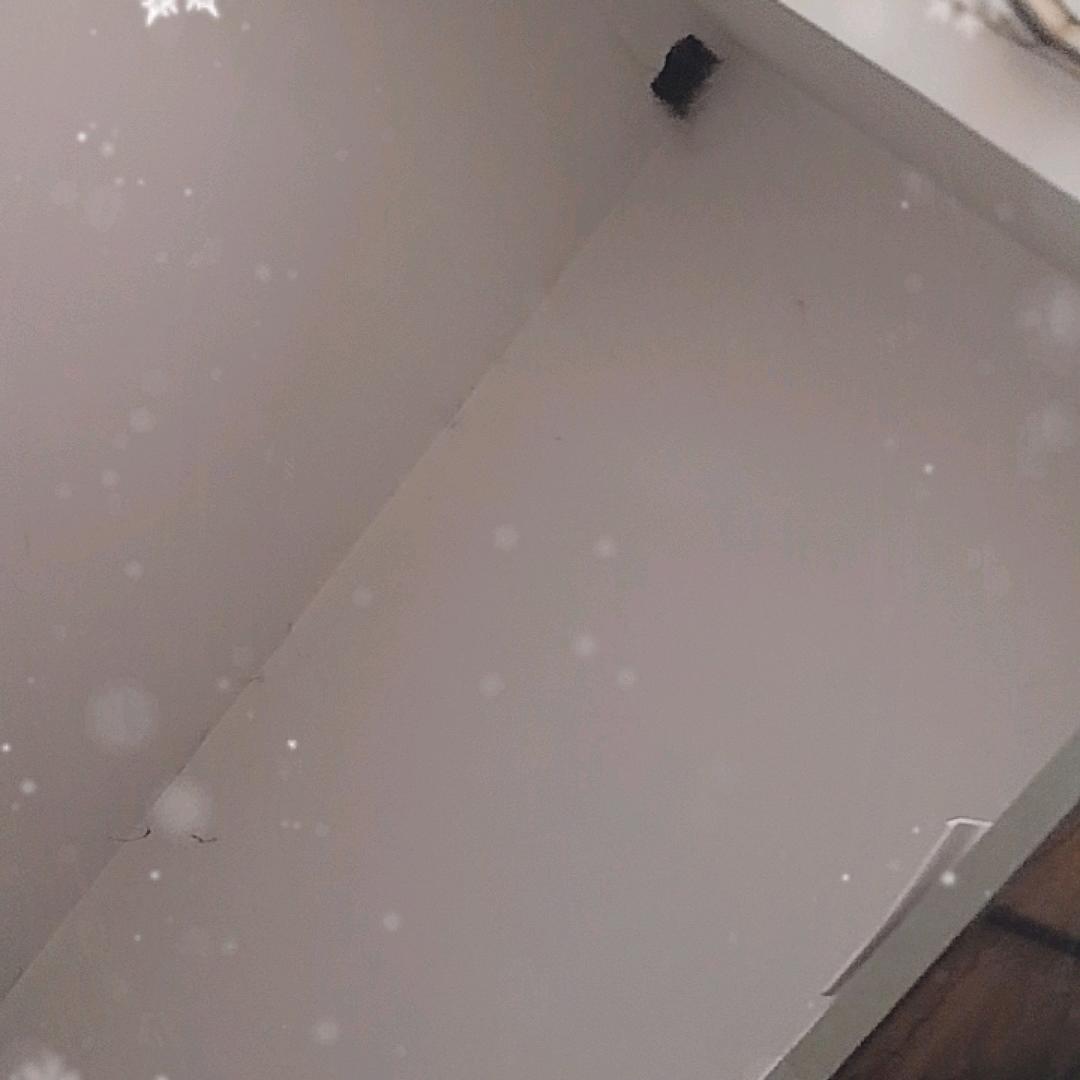 玉楼拣