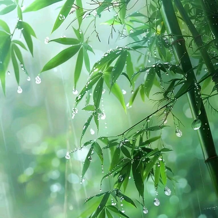 L🍀哥