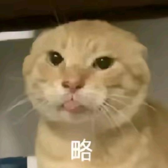 拾别