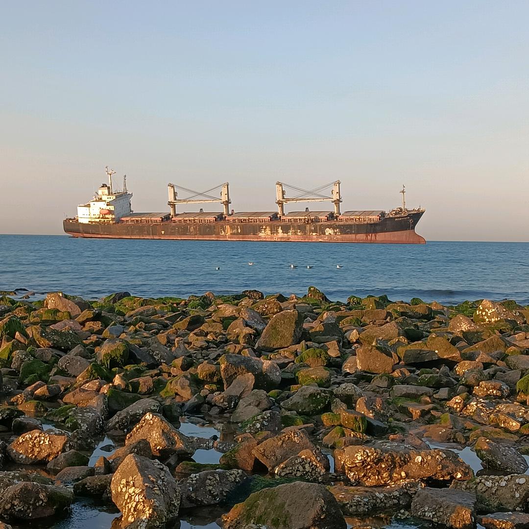 温柔只给意中人