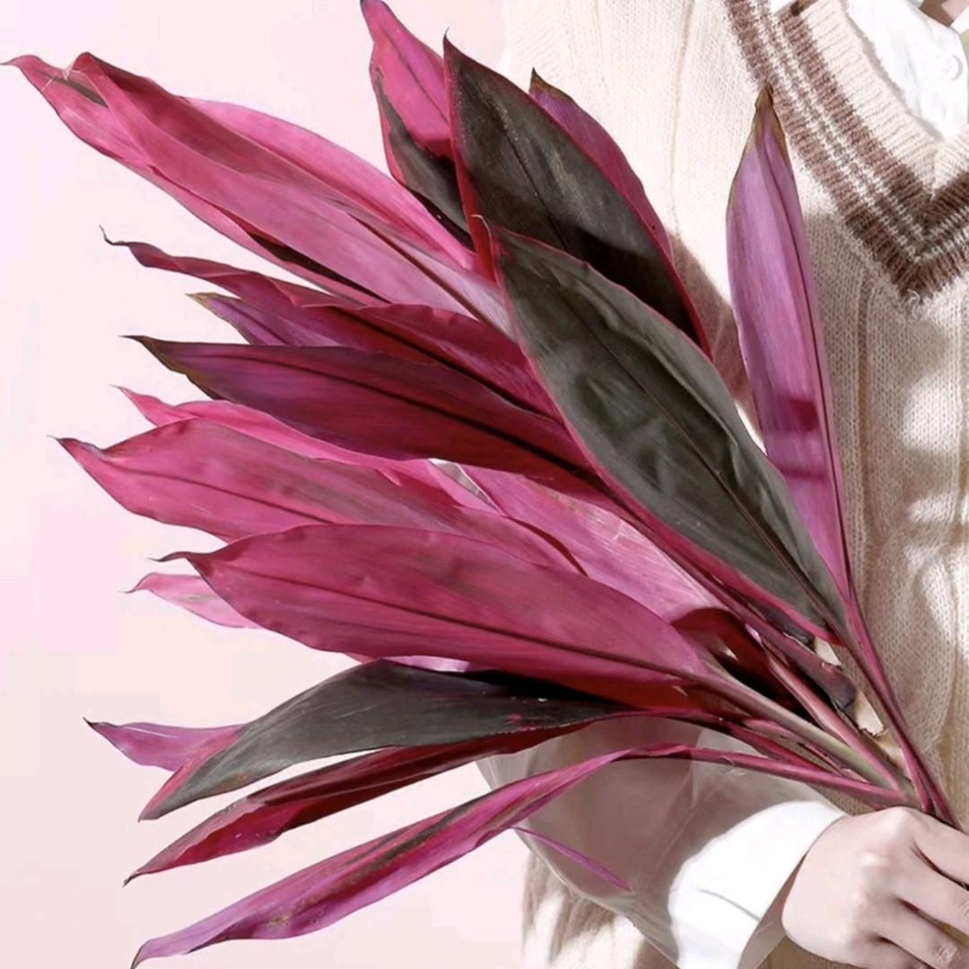 大彪鸿运竹基地