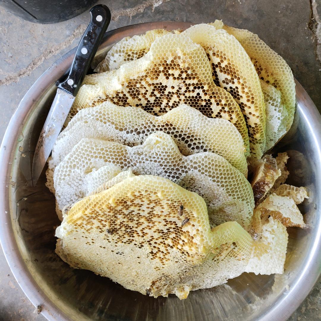 野生蜂蜜搬运工