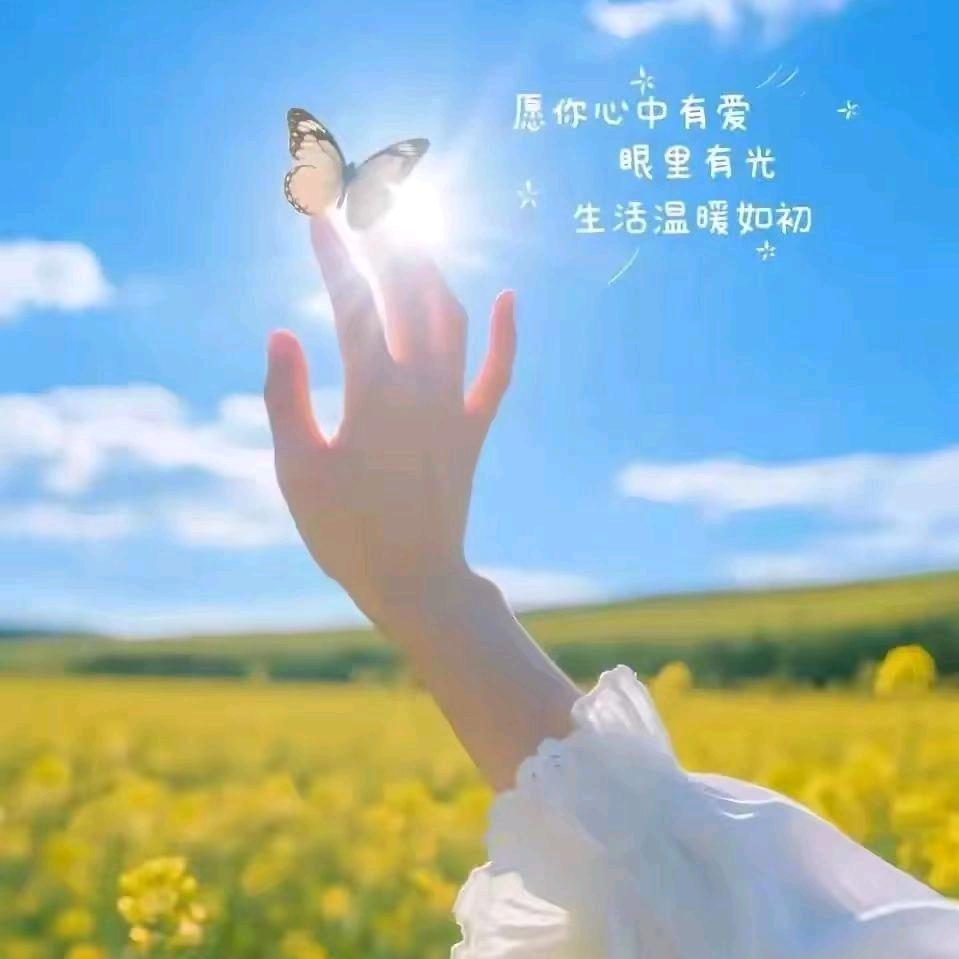 依然阳光