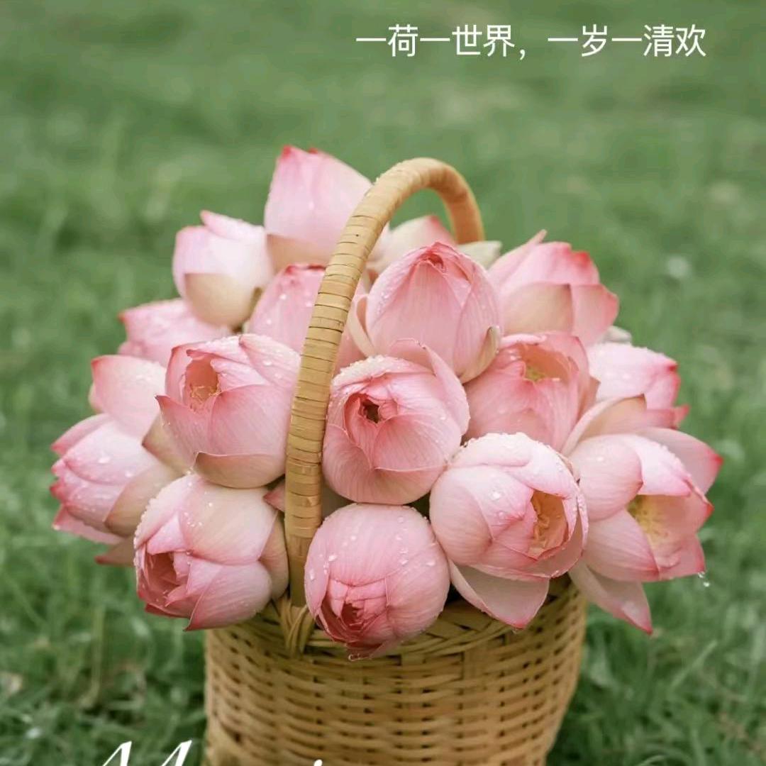 思念如梦