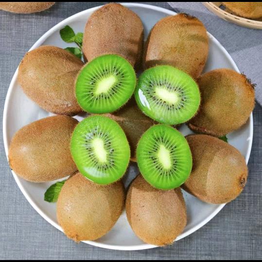 音乐艺术文艺工作者