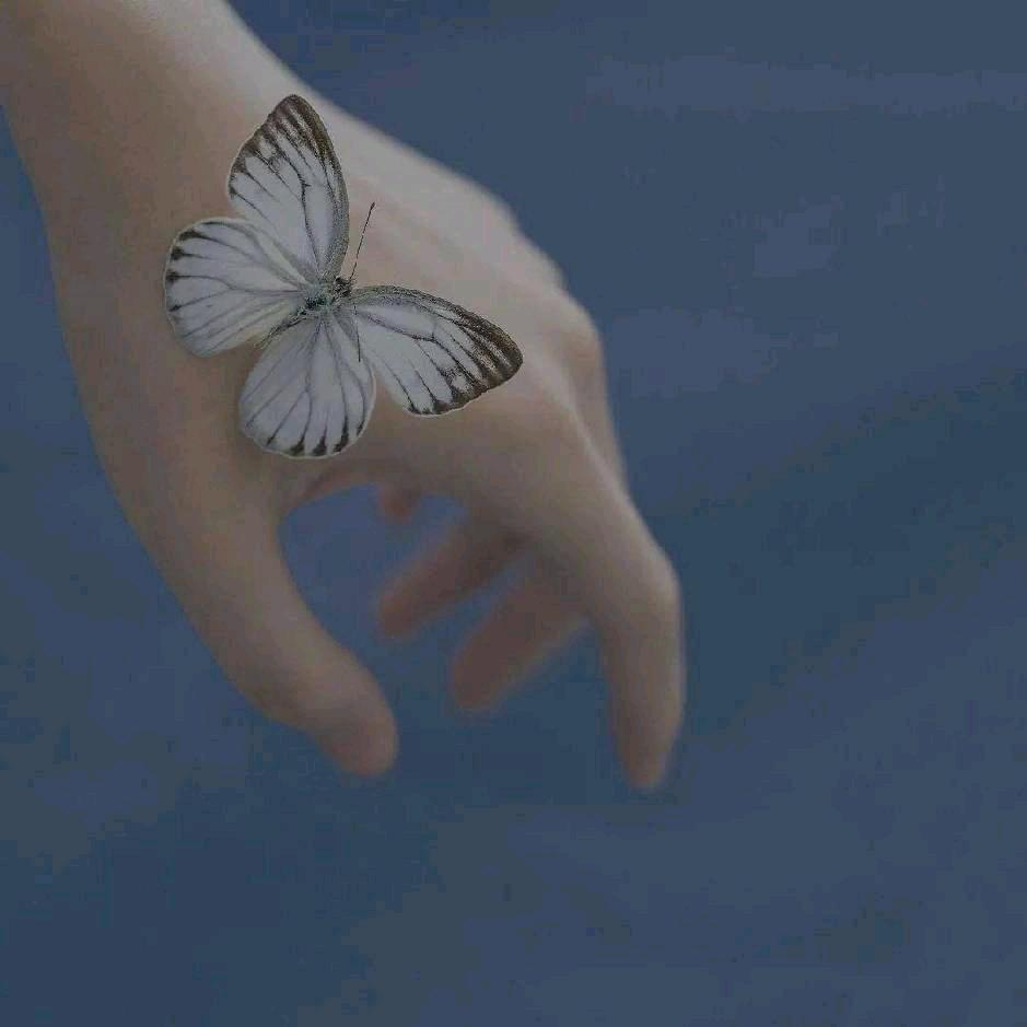 我的男人我来管