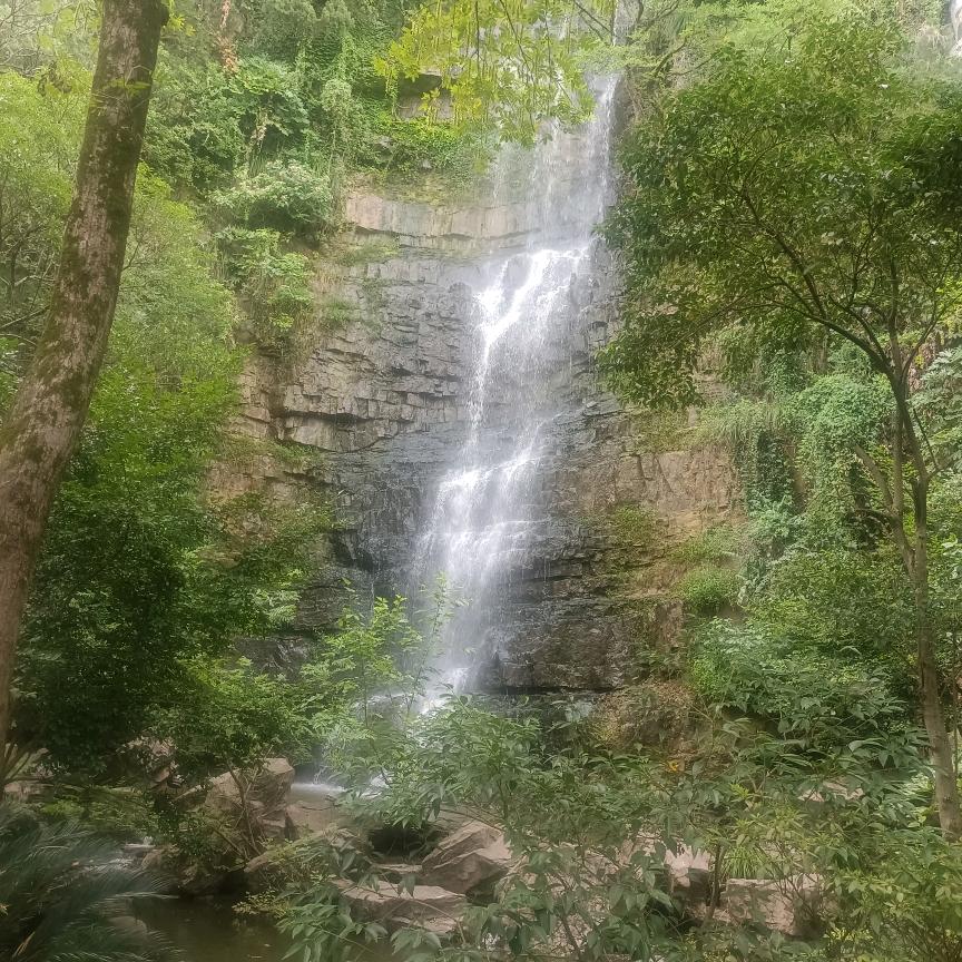 星光，照耀