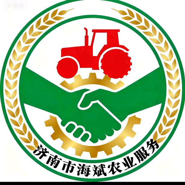 会飞的雨中兔
