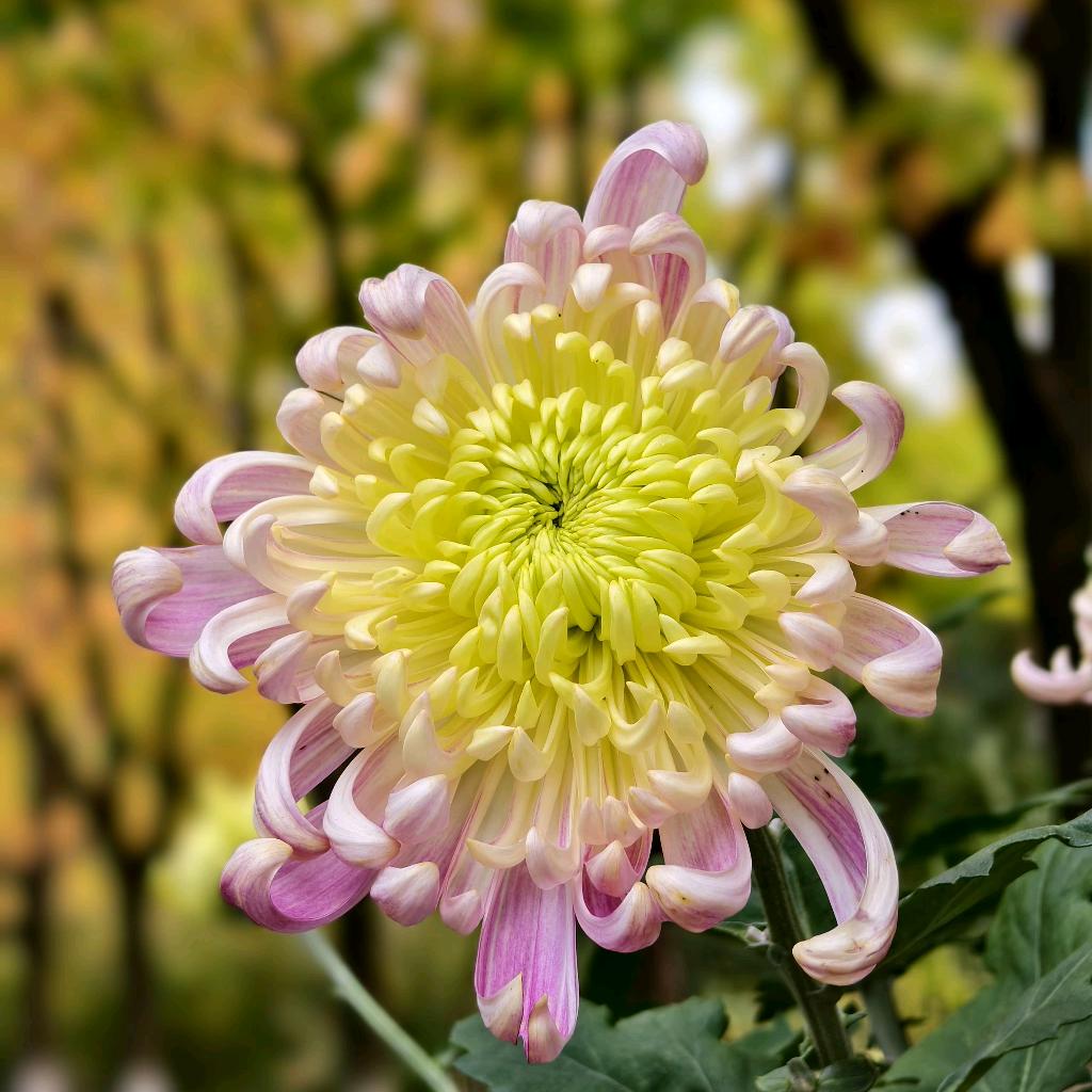 陕西好安居家居优品店