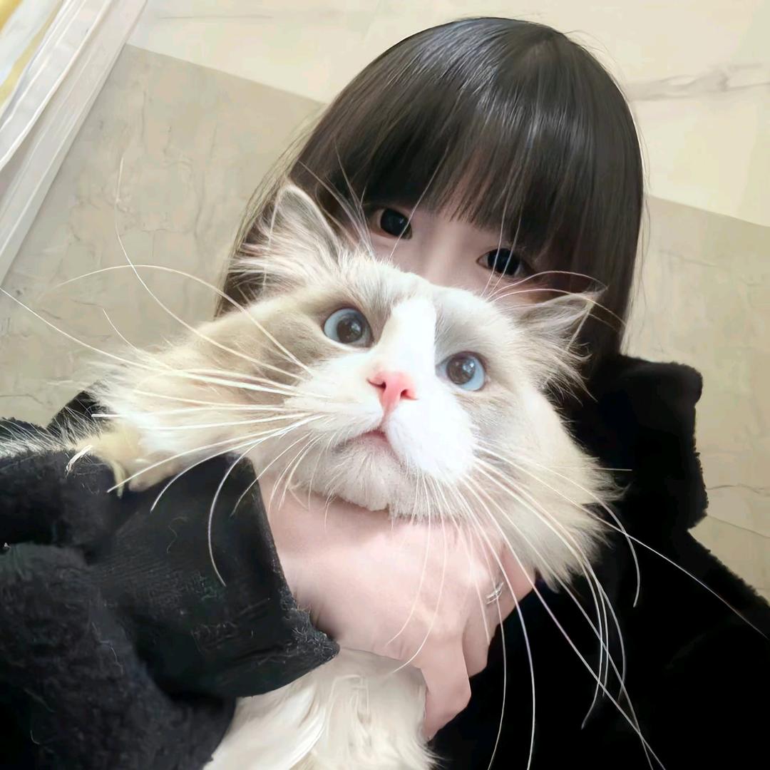 小美(助力新人)