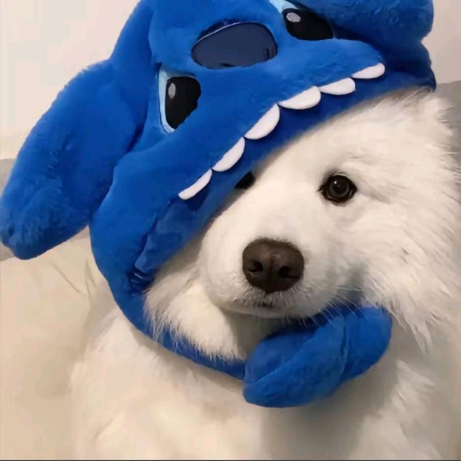 我的眼睛就是尺