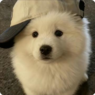 为什么我拆卡不出基德