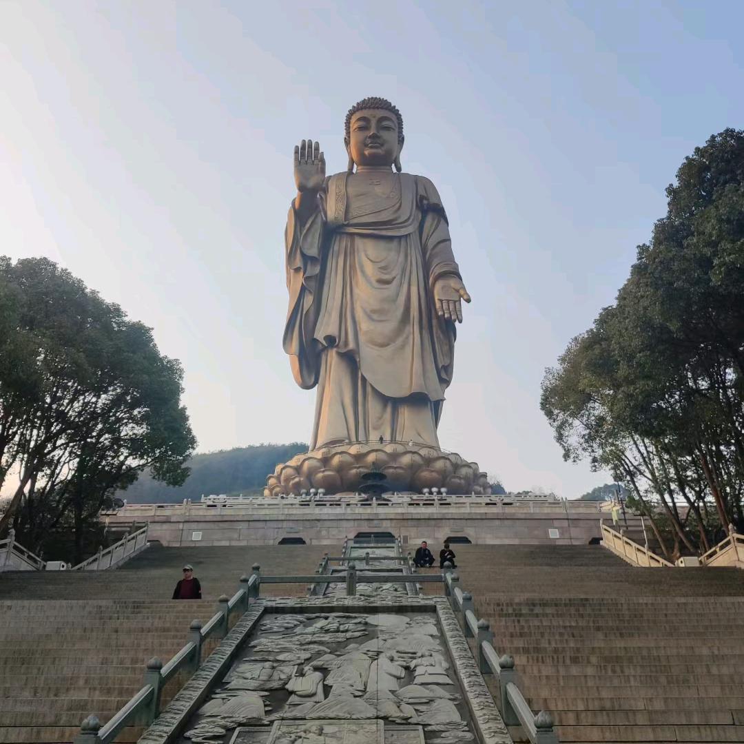 山东青岛货运李哥