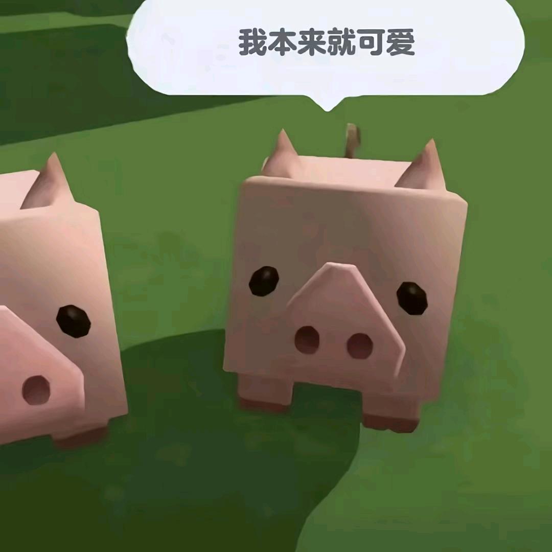 一颗菜豆