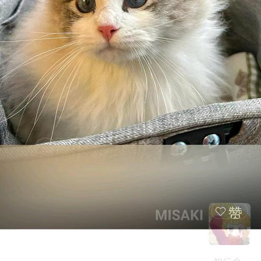 明天会更好明天会更好