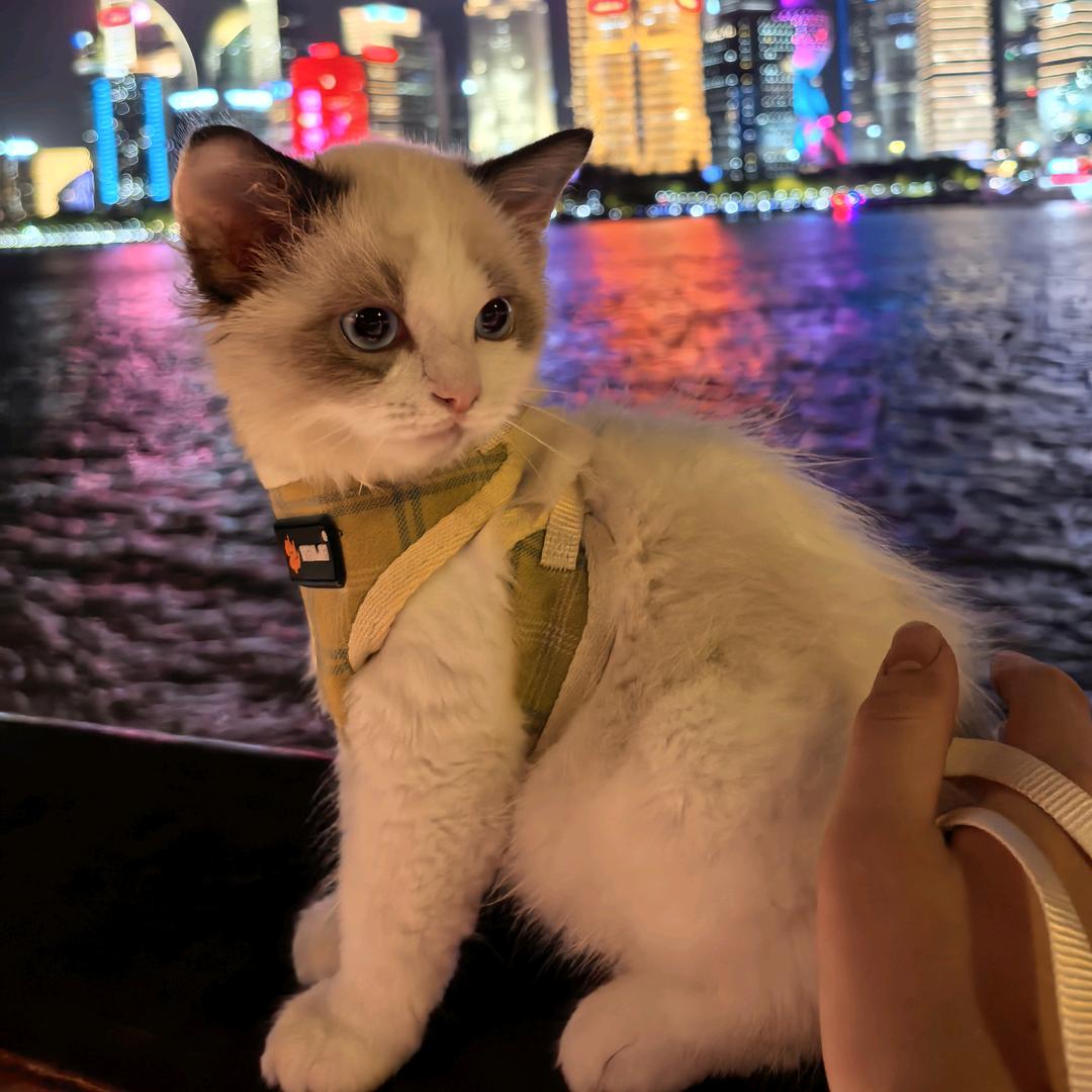 六六大顺