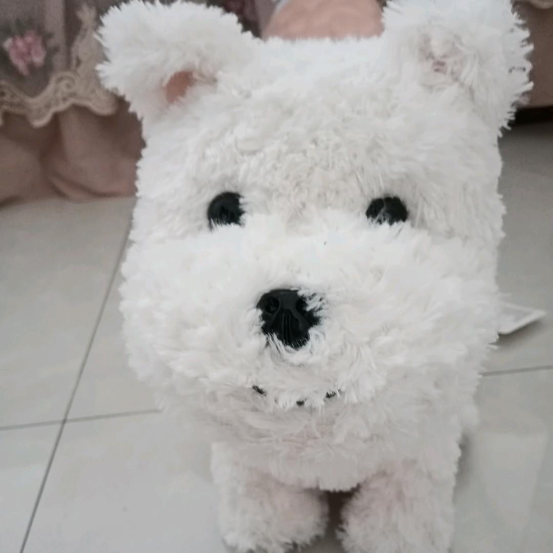 摸牛哥