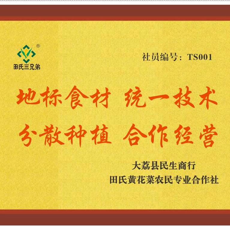 黄花菜大师-民生