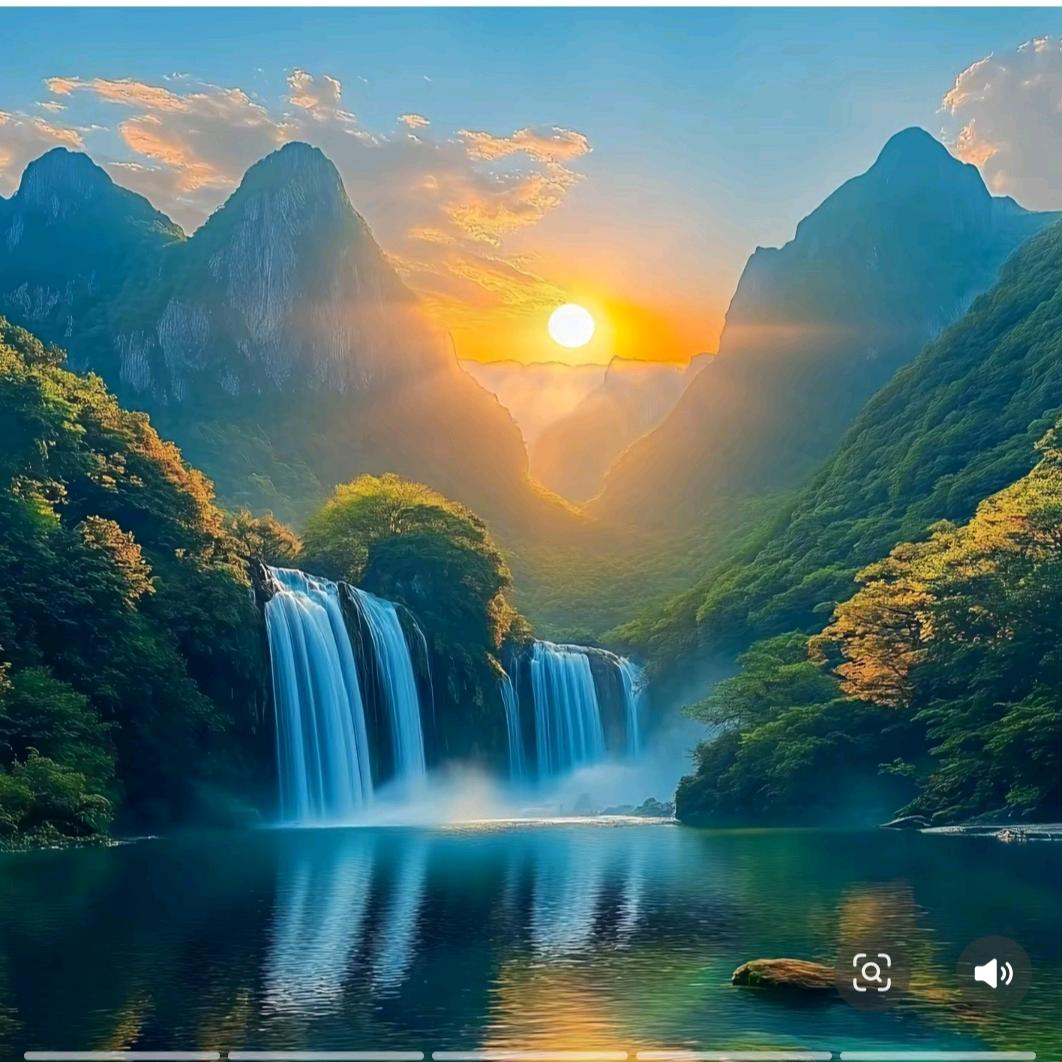 自由的鱼