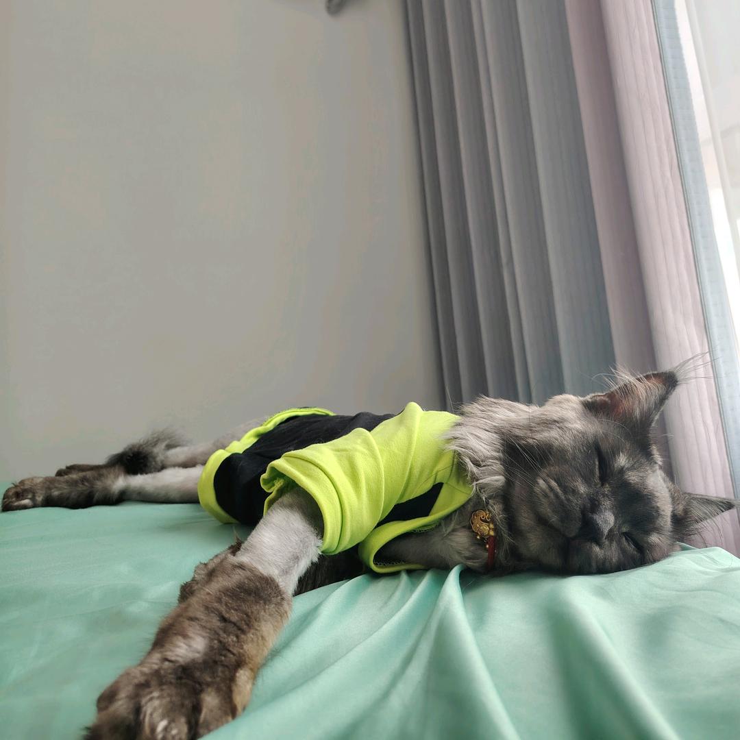 纸鸢《孕晚期》