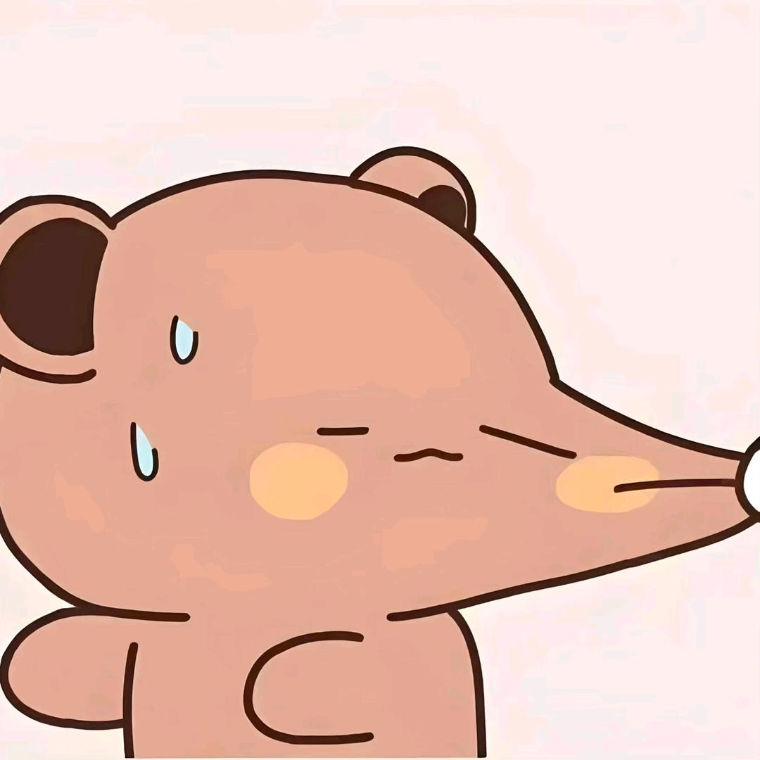 小劉天天开心.