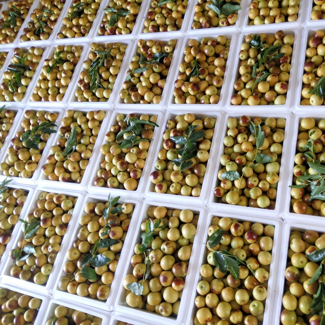 ල᭄💞幸福很简单♥ꦿ᭄