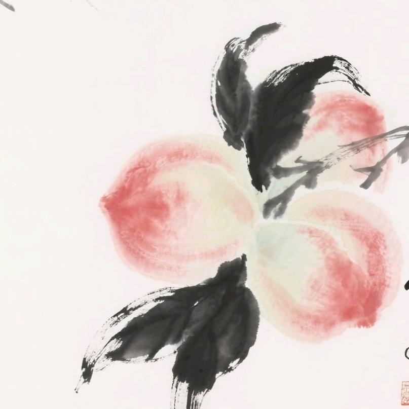 花花画画（听劝版）