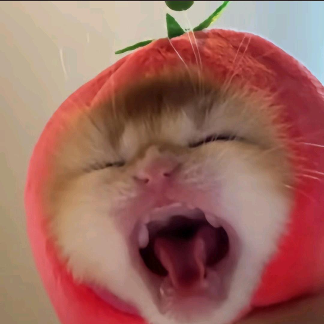 红太狼不嘻嘻♛