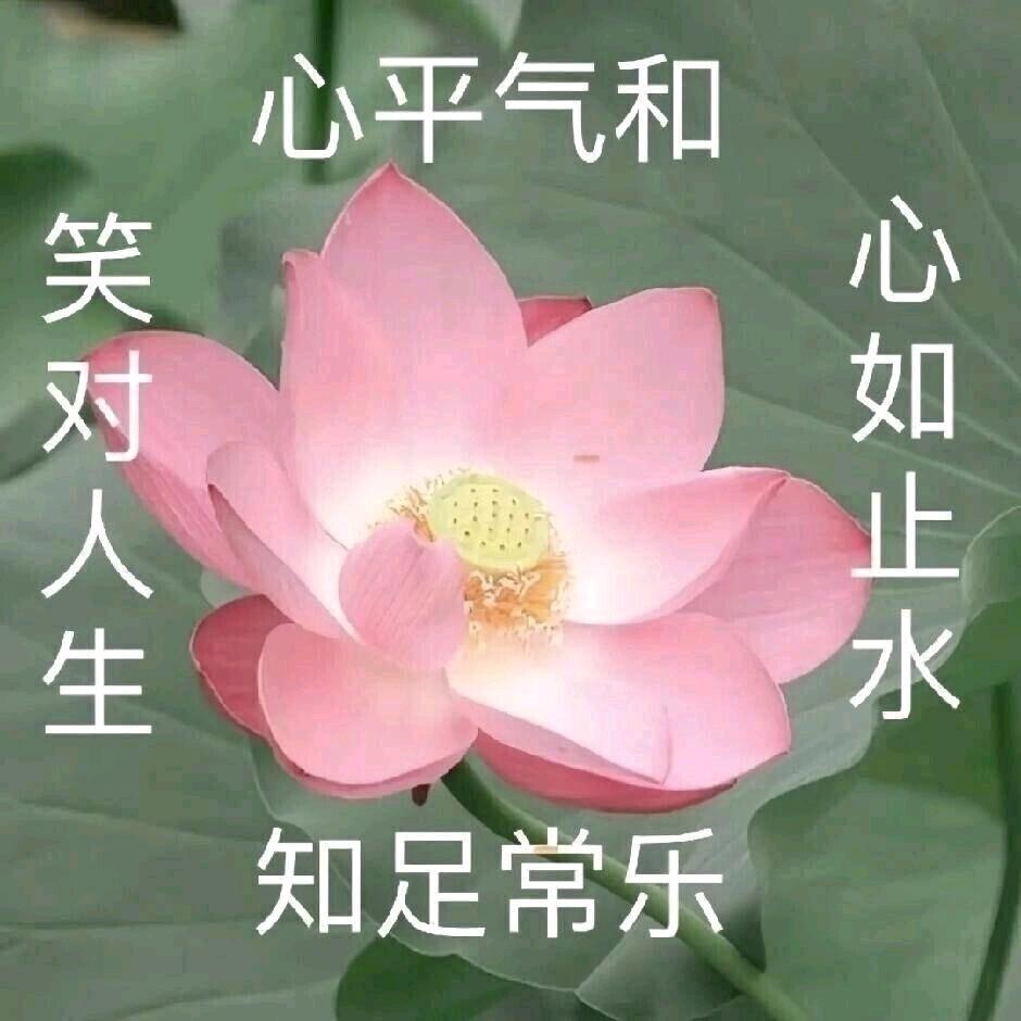 缘🐟霰