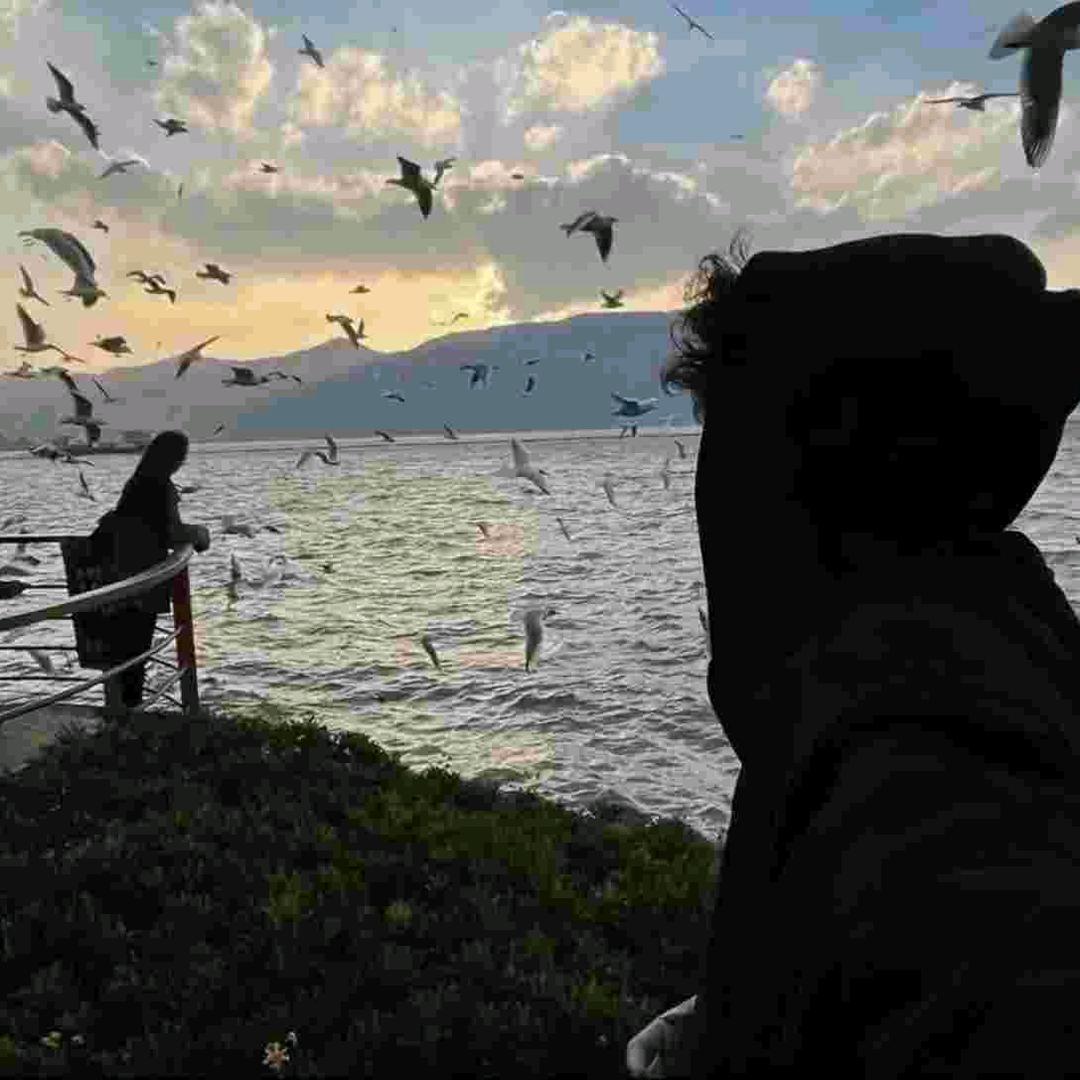 徐州欠我一场雪