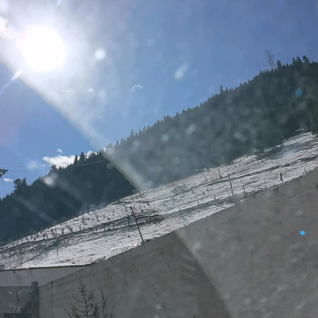 成都到拉萨顺风车
