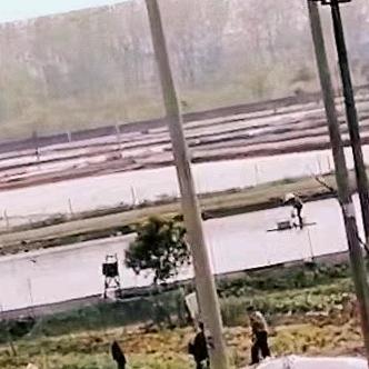 余小二大闸蟹