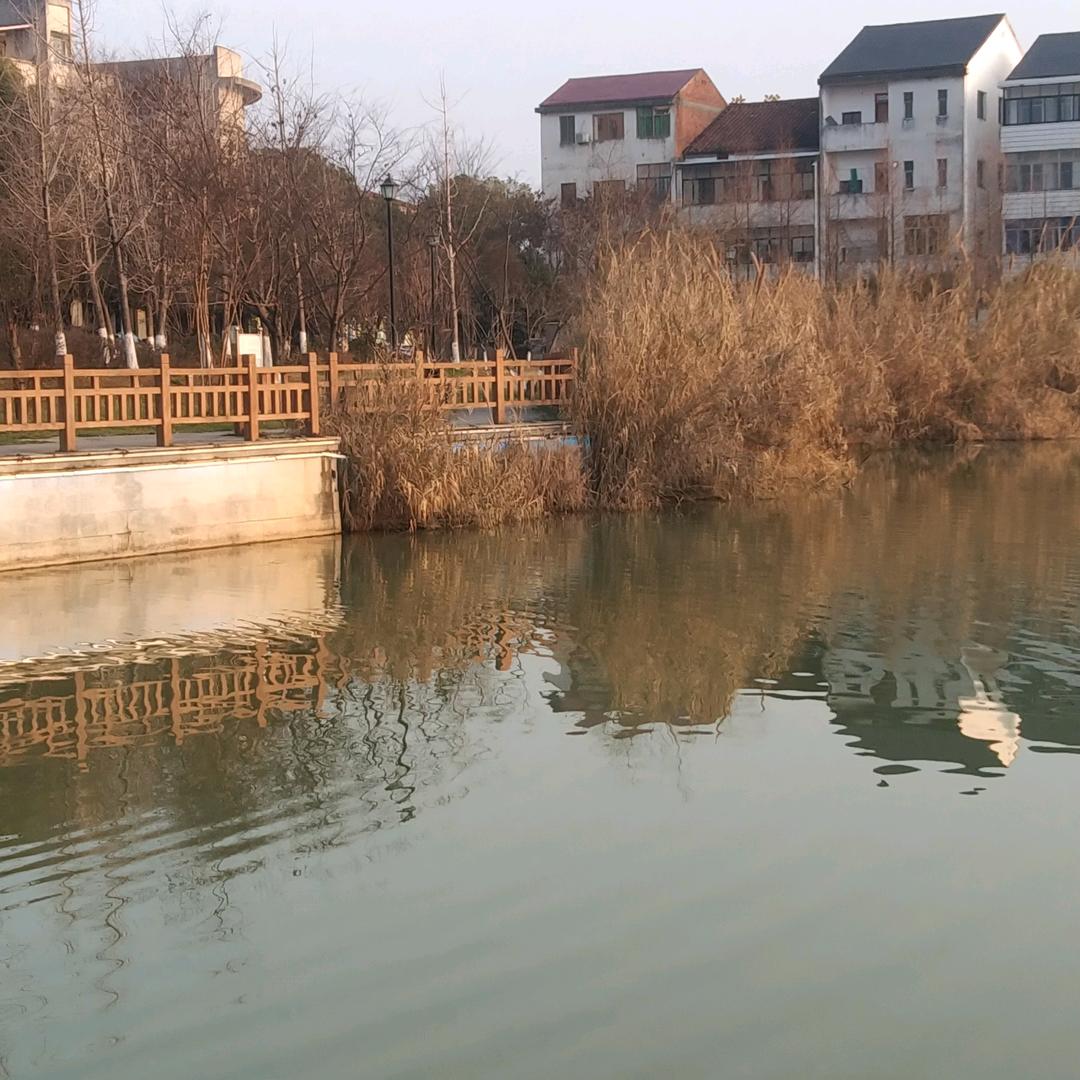 随缘