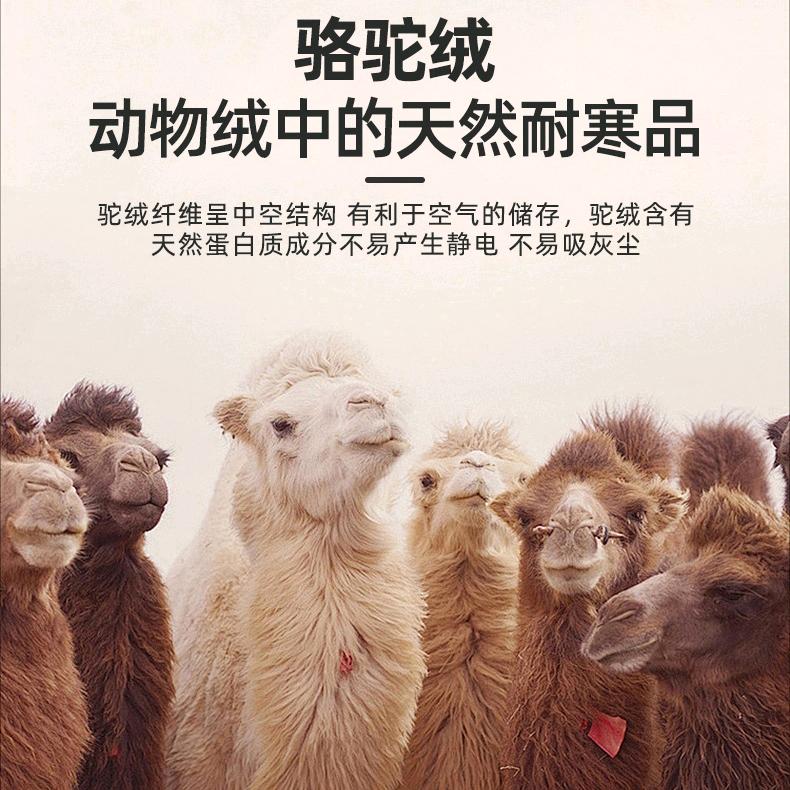 阳宝                女装