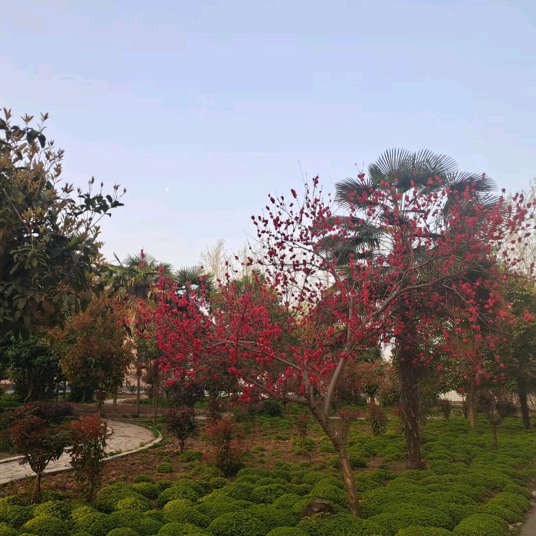 💪💪💪拍抖音的爱好者