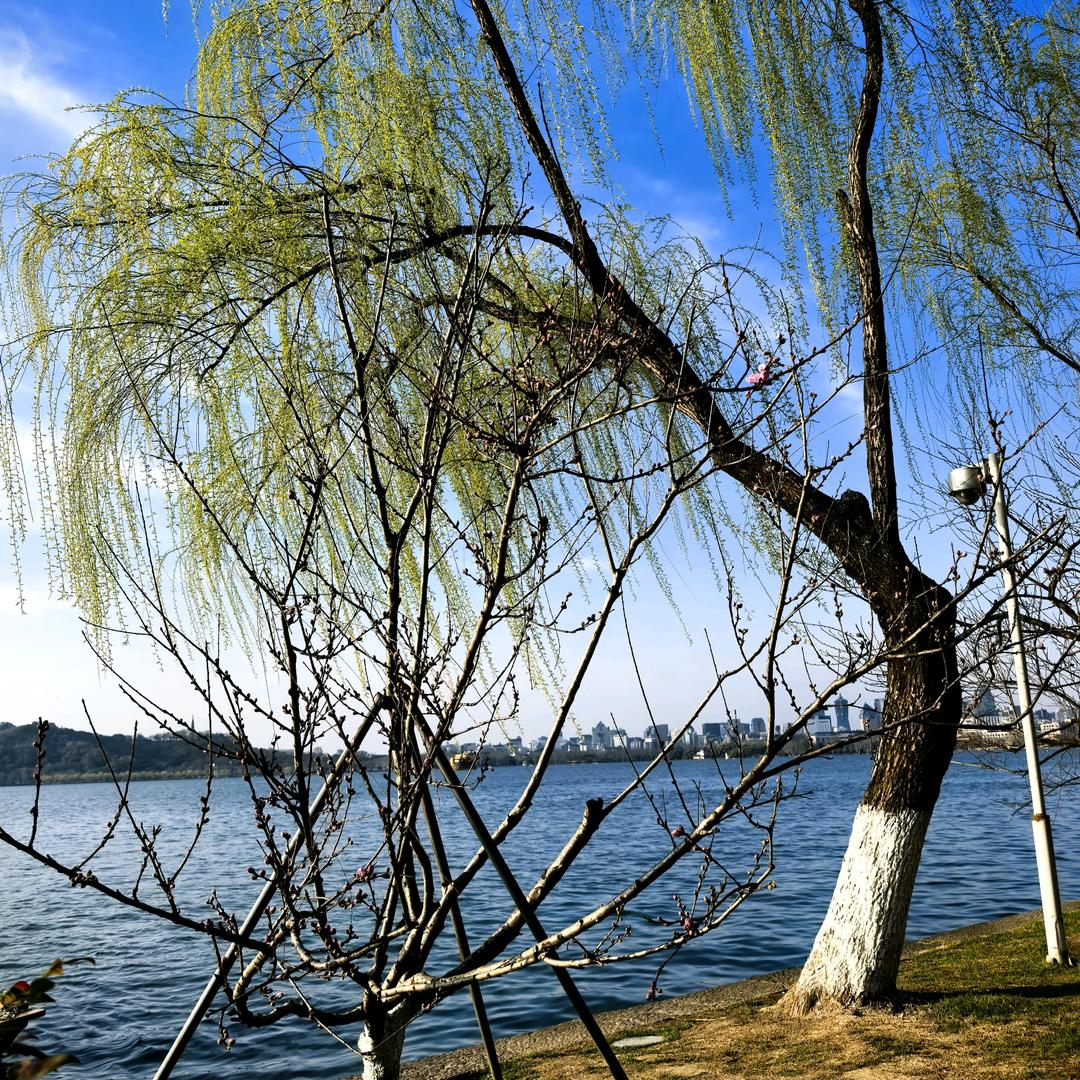 面朝大海春暖花开