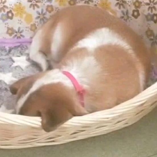 熊猫乖乖🐻🐻