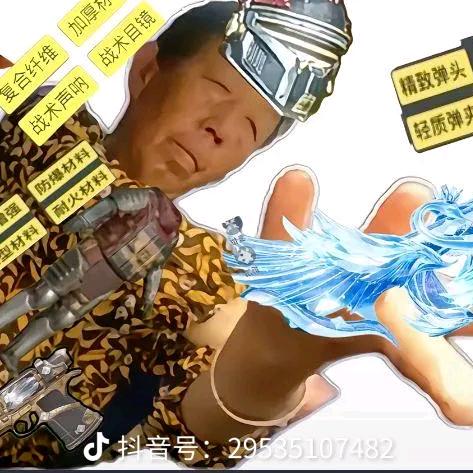 高雅的t8黑鹰落(三角洲)