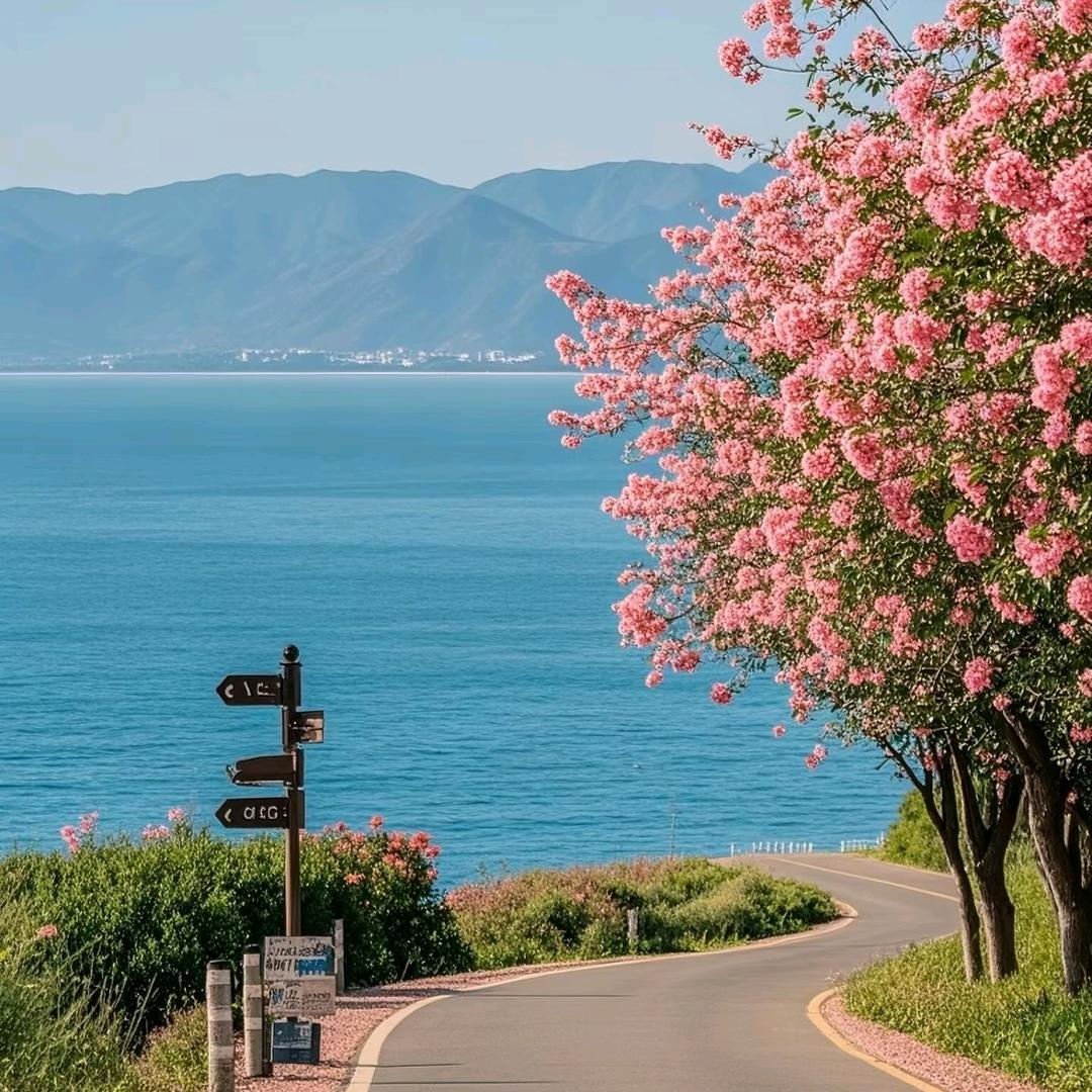 燕子杭州画悦酒店