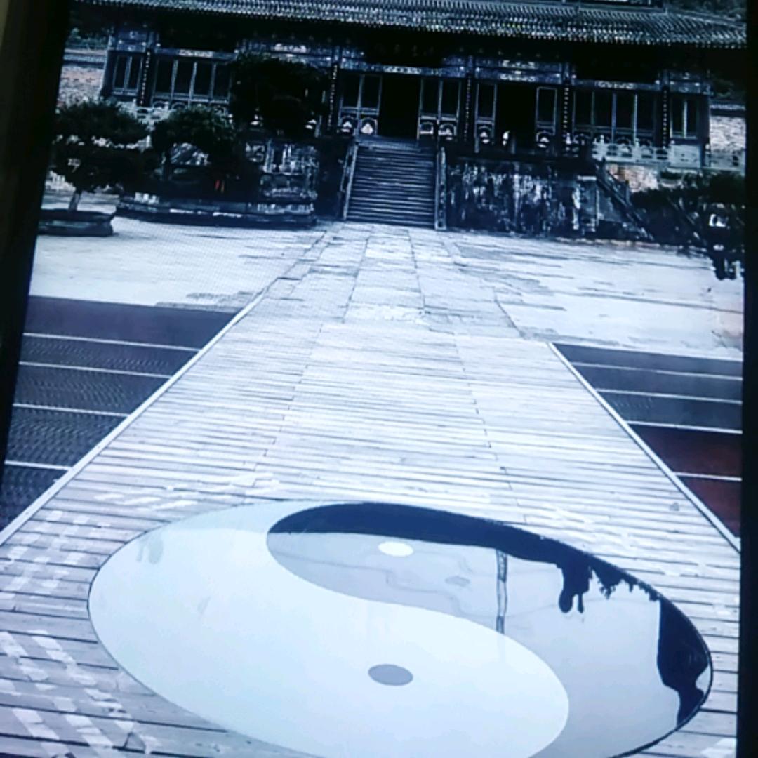 猪无能