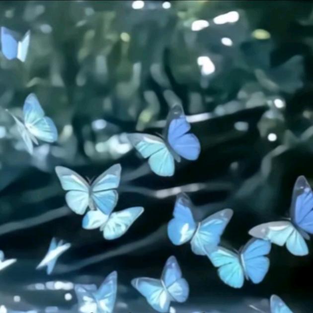运气爆棚小土豆