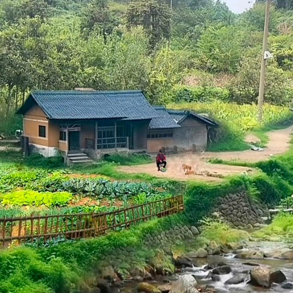 恋情如烟