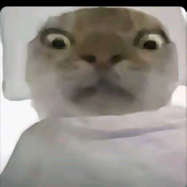 忆可