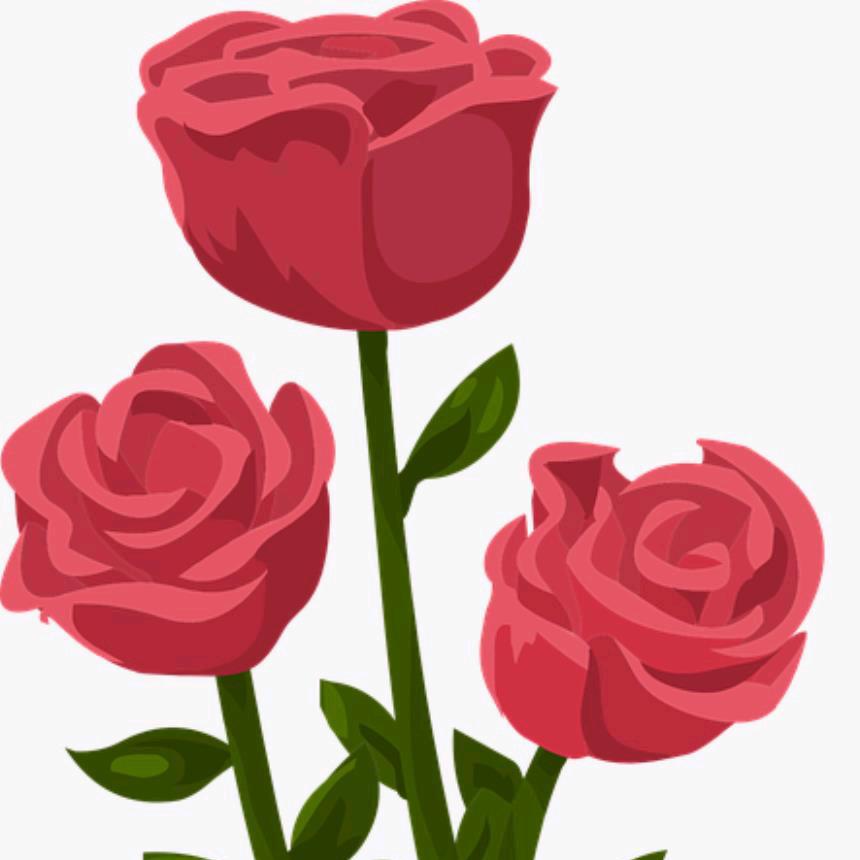 三朵金花🌺