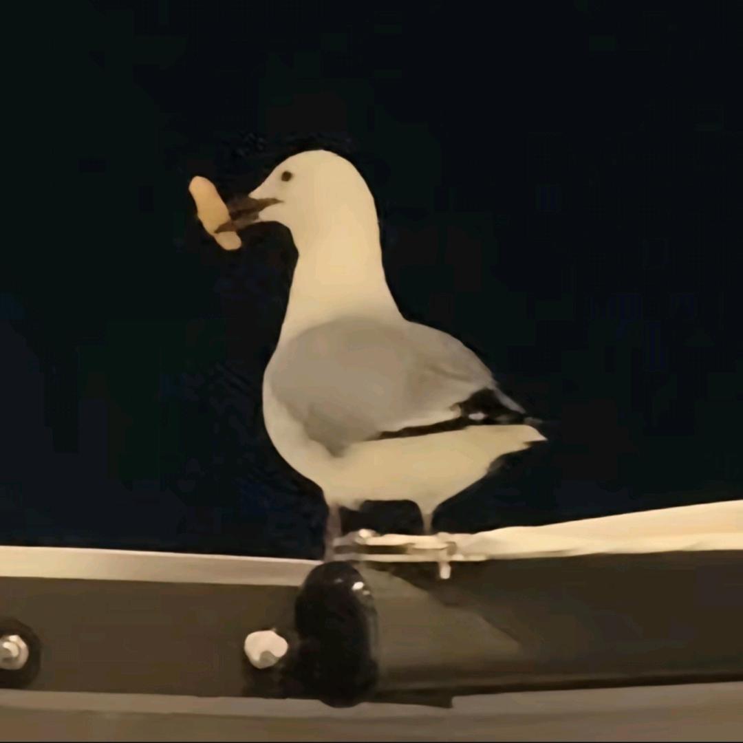 六盒骨灰