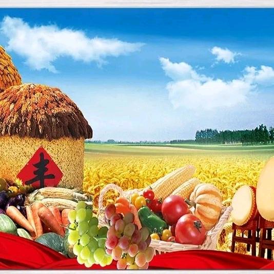 强强联手 🤝 你我共赢