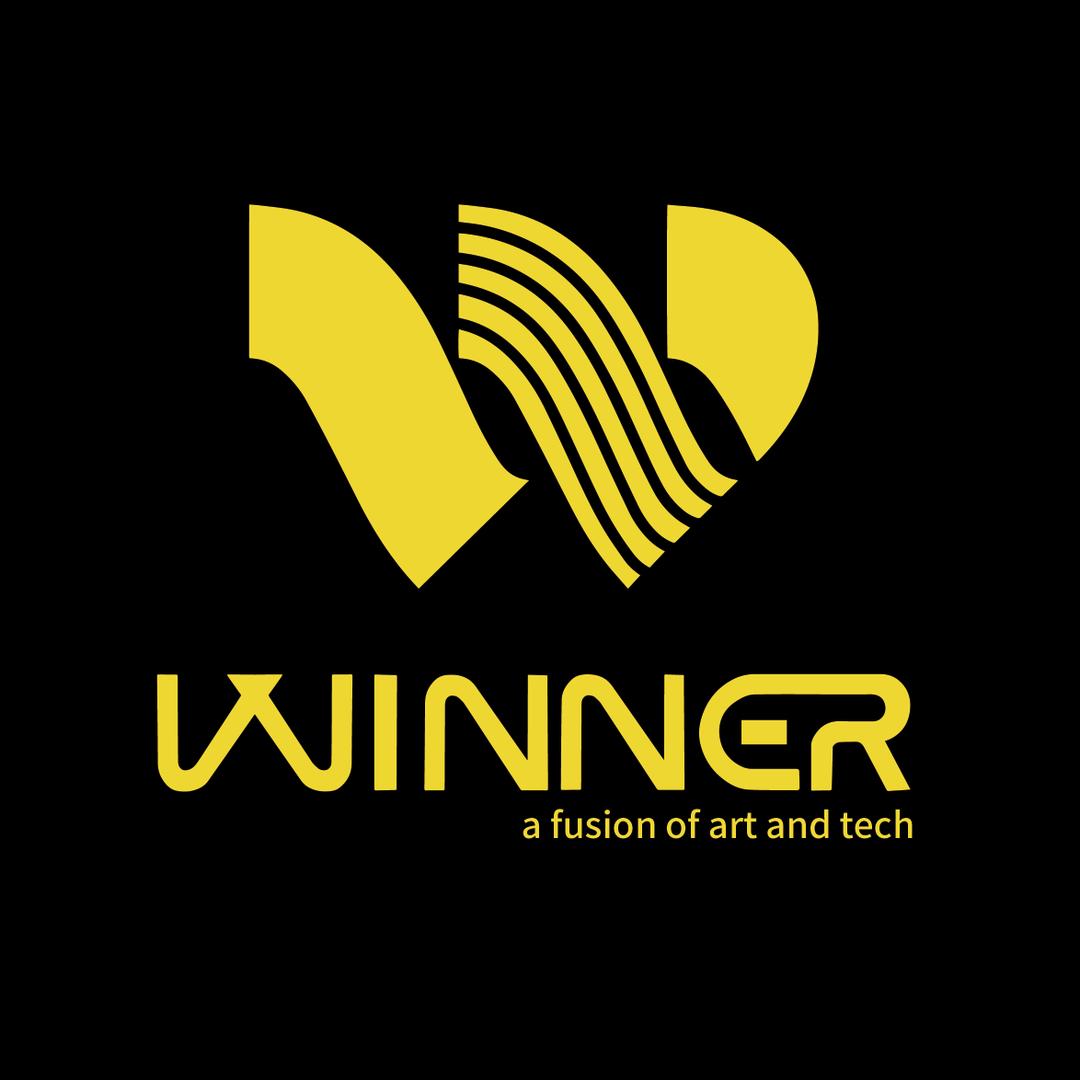 Winner琴弦企业店