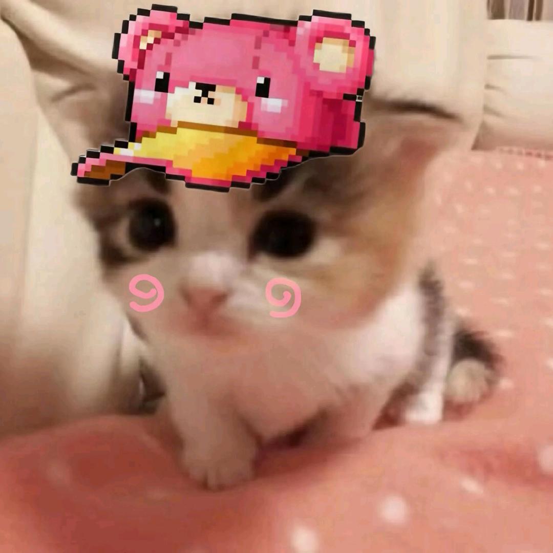 @没心❤️没肺